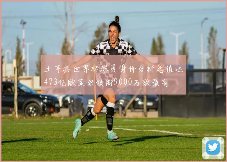 土耳其世界杯球员身价分析总值达473亿欧莱尔领衔9000万欧最高