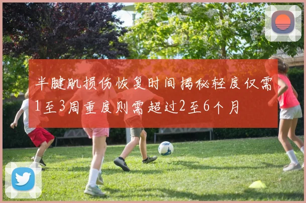 半腱肌损伤恢复时间揭秘轻度仅需1至3周重度则需超过2至6个月
